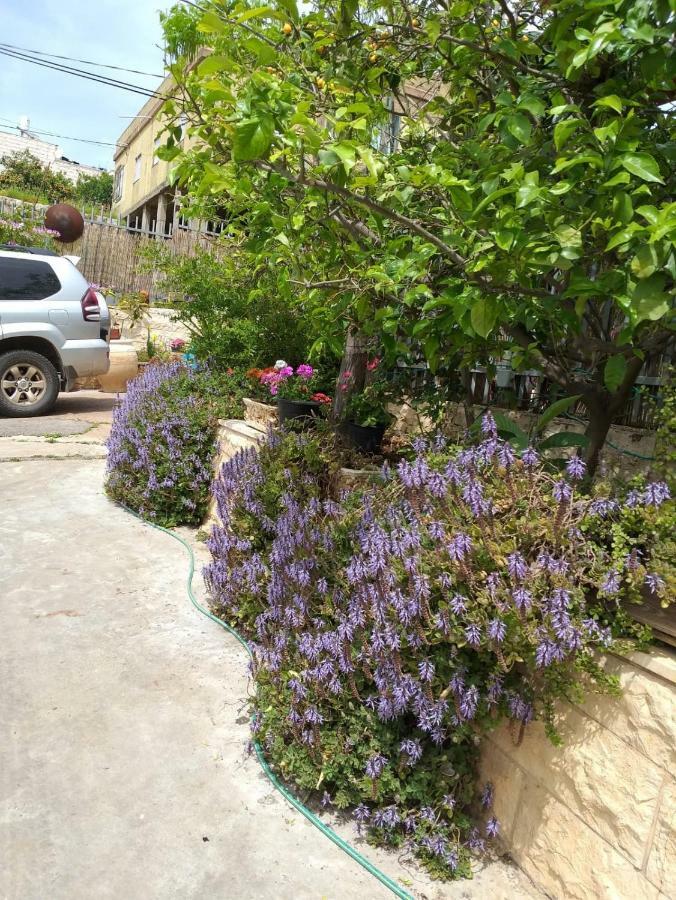 Appartamento Valentine House Deir Hanna Esterno foto